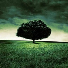 Sonorous Serendipity (Summer Mix)