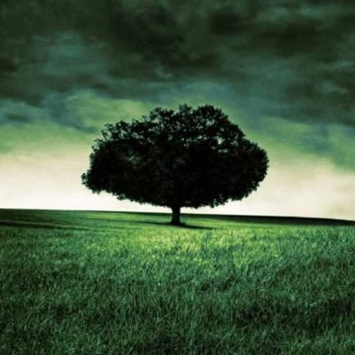 Sonorous Serendipity (Summer Mix)