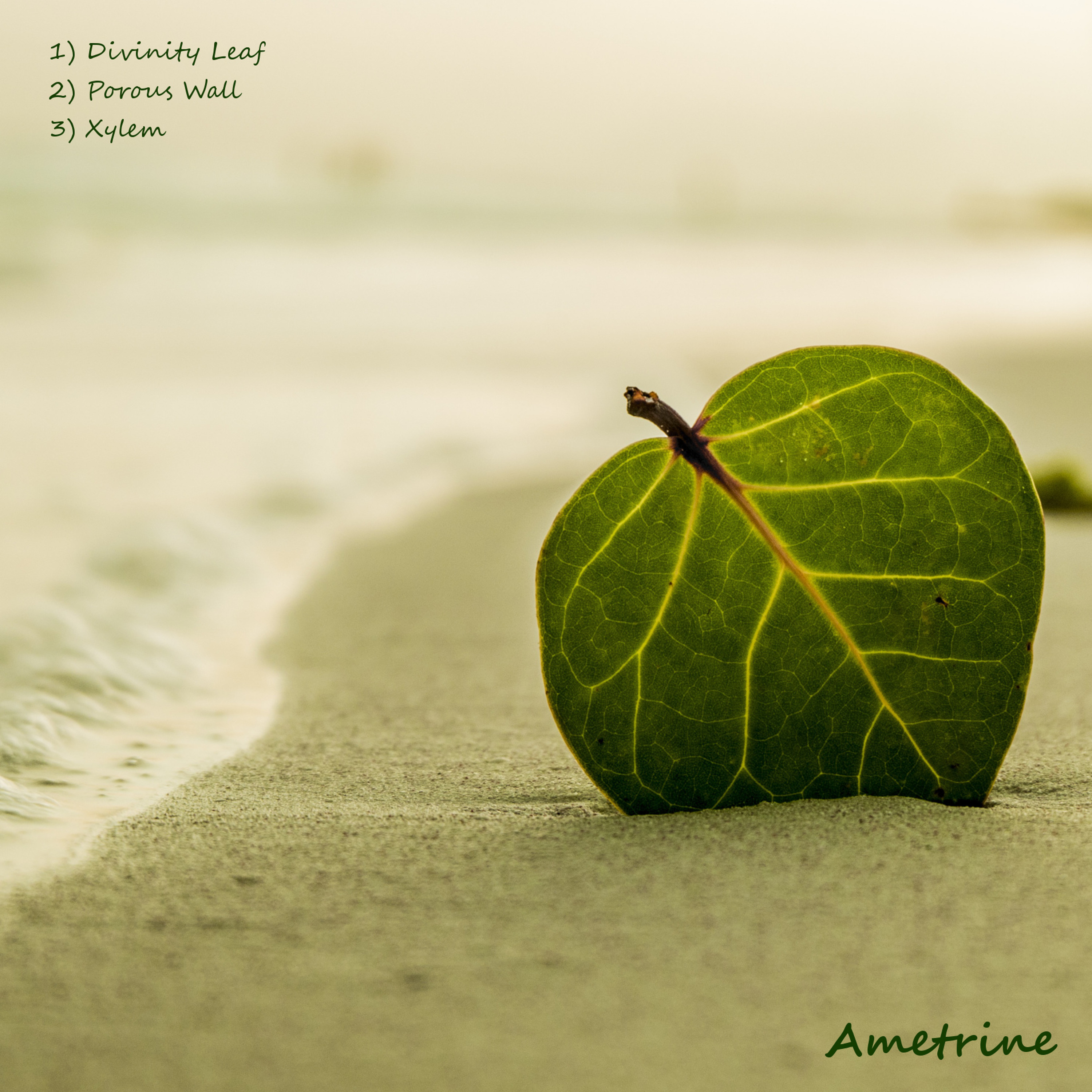 Porous Wall (Original Mix) episode artwork