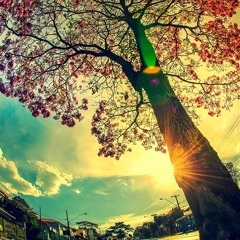 b3autiful sadn3ss