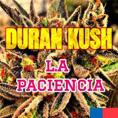 01 Apegate Al Plan - Duran Kush