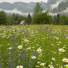 bitches broken hearts