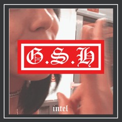 G.S.H