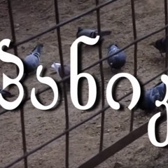 ქართული პ