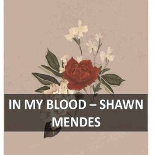 In My Blood - Shawn Mendes