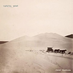 Go Out On A Limb Intro