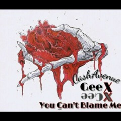 You Can't Blame Me