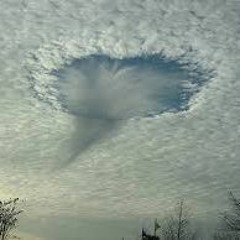 Faut Pas Pousser Mémé Dans Les Nuages