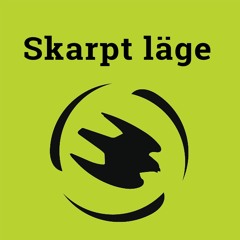 Att flyga eller inte flyga