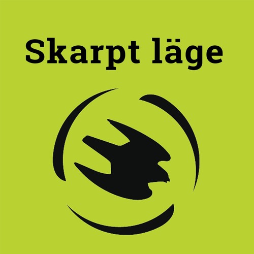 Att flyga eller inte flyga