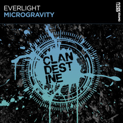 EverLight - Microgravity [FSOE Clandestine]