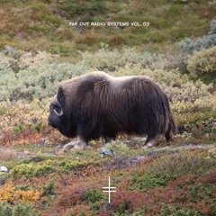 Far Out Radio Systems - Far Out Radio Systems Vol. 03