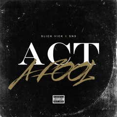 Act A Fool feat. SNS