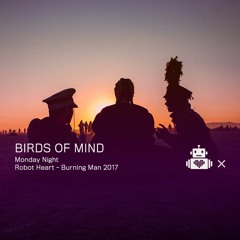 Birds Of Mind - Robot Heart 10 Year Anniversary - Burning Man 2017