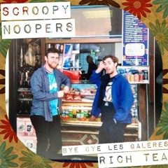 Scroopy Noopers // Bye Bye Les Galères