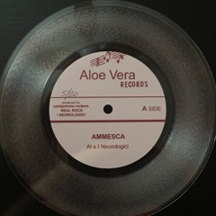 7" Pre Release - Al & The Neurologics - Ammesca