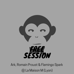 Free Session #2 :: Switch Family Party -- Ark, Romain Proust & Flamingo Spark @ La Maison M (Lyon)