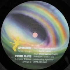 DJ Aphrodite - Wikki Wikki Plate
