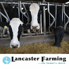 Introduction: Welcome to The Farmer