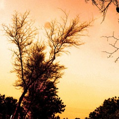 Jab Koi Piyar Se Bulaye Ga By Zoe Vicaji By Umarliaqat.TS