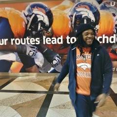 Badd inglish - DENVER ZOO (Rover Rmx)