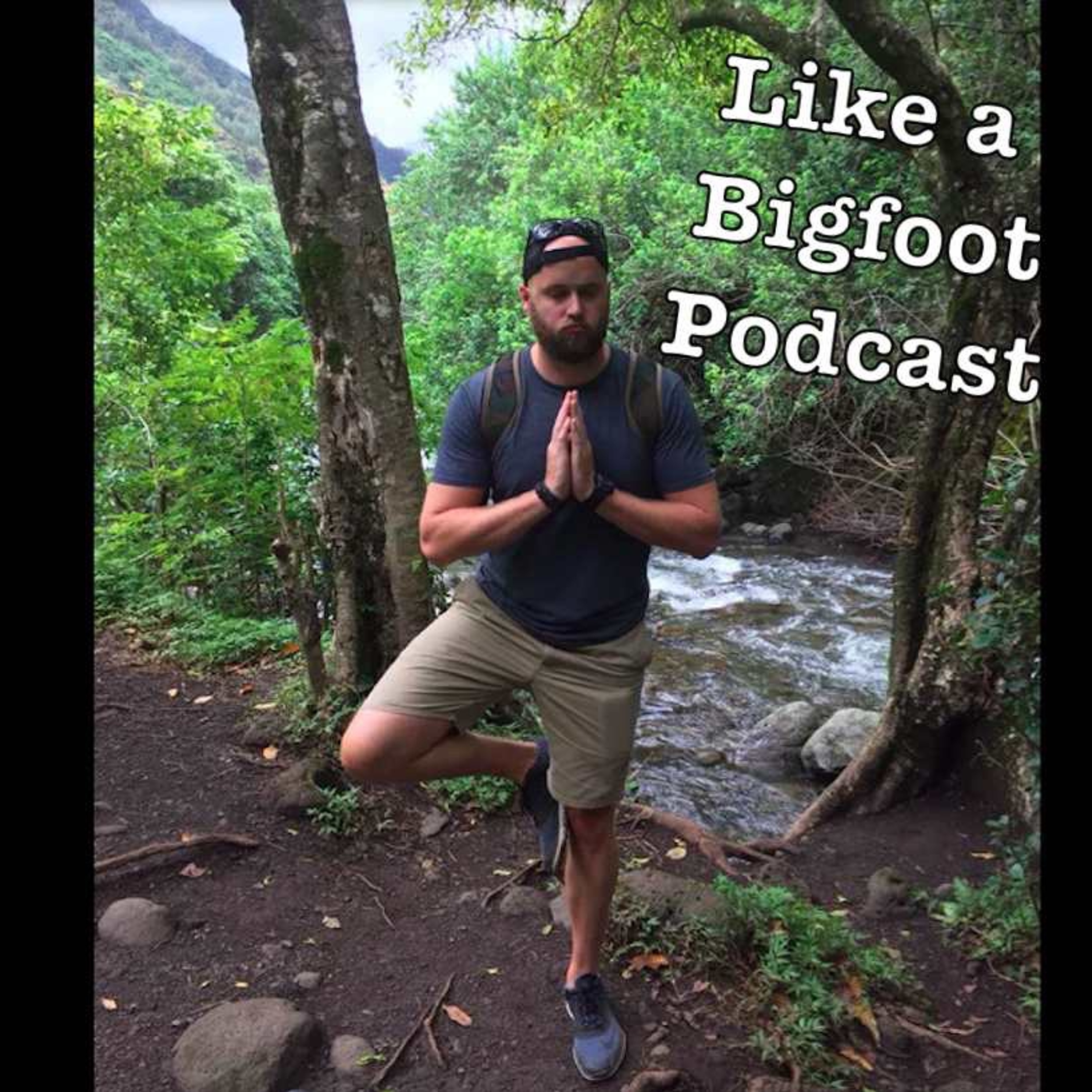 #96: Brandon Swett 2 -- Why We Are Terrified of Snakes and a Bunch More Random Topics episode artwork