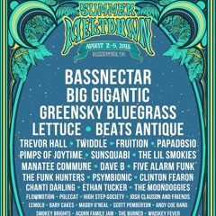 Summer Meltdown 2018 Lineup