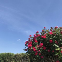 abercrombie ~ (prod. by wilkjayy)