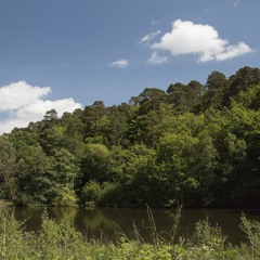 I Need Your Pain (demo)