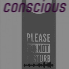 Do Not Disturb remix