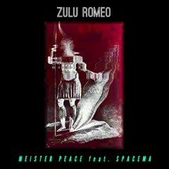 Pirate Three Niner (Feat. SPACEMA)