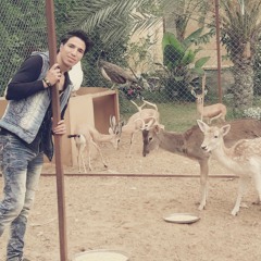 قيس الغريب - انسى حبهم _ Offical Video.mp3