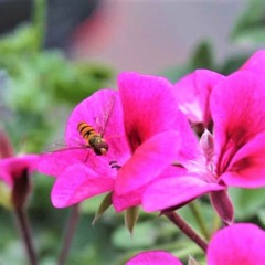 hAndSOut - Little Touch (Rock)