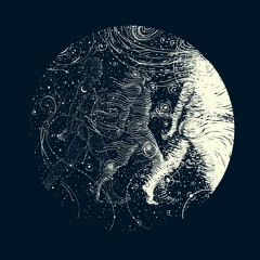 Cat Power - Werewolf (Azàv Rework)