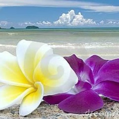 Orosetin Hawalulu By T3KA