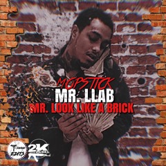 12.MopStick X Florida