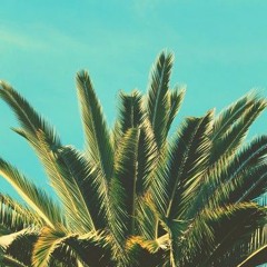 California Theme (Instrumental) *SOLD*