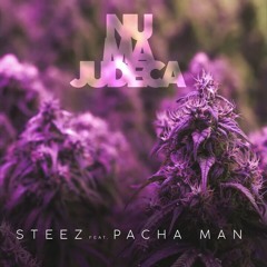Steez feat. Pacha Man - Nu ma judeca