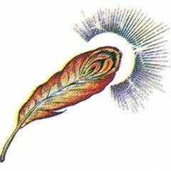 Ｒｅｖｉｖａｌ