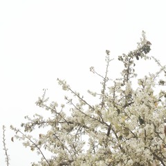 The Breakup Suite (Duster cover)