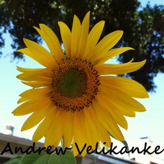 A Thousand Goodbyes (fea. Johanna Jordan)