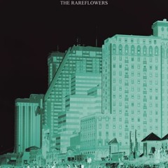 The Rareflowers - "Shake"