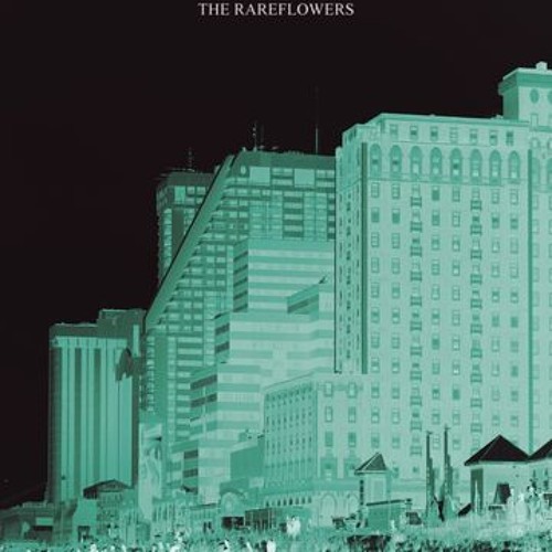 The Rareflowers - "Shake"