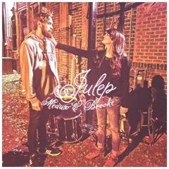 Julep (Punch brothers)