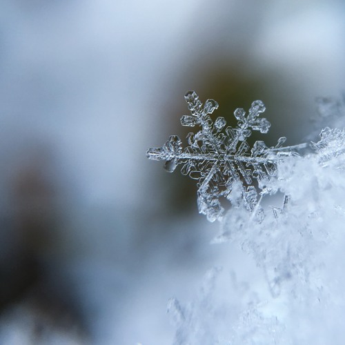 Snowflakes