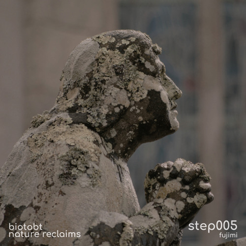 step005 by Fujimi
