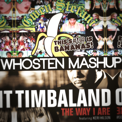 timbaland mashup