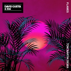 David Guetta & Sia - Flames (Tom Martin Remix)