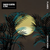 David Guetta amp Sia - Flames Aazar Remix David Guetta amp Sia - Flames Aazar Remix