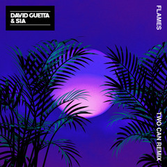 Stream Two Can | Listen to David Guetta & Sia - Flames (Two Can Remix)  playlist online for free on SoundCloud